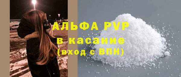 индика Кинешма