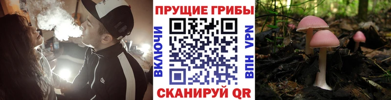 kraken ссылки  хочу наркоту  Спас-Клепики  Псилоцибиновые грибы прущие грибы 